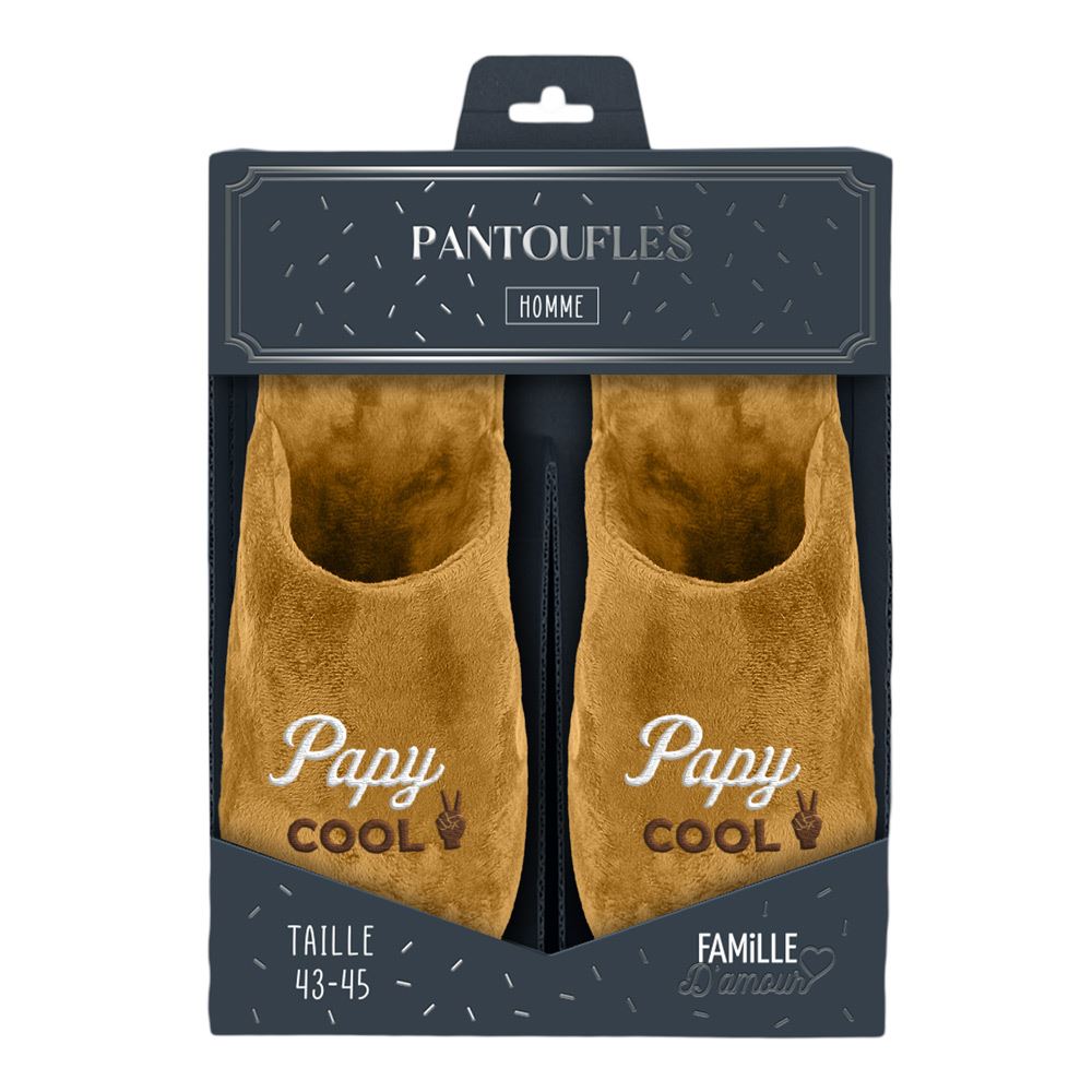 Pantoufles humoristiques: Papy cool