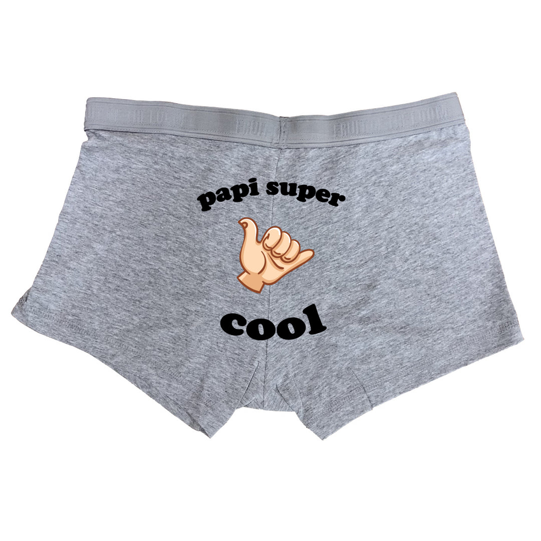 Boxer Papi super cool